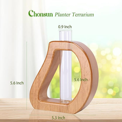 Plant Propagation Stations Wall Hanging Terrariums Home Decor Plants Glass Test Tube Planter with Wooden Stand for Plant Lover Gifts