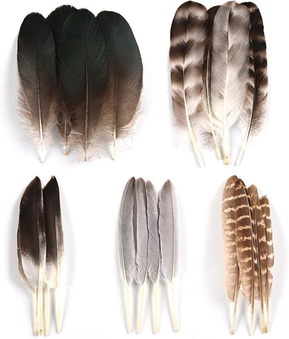 MAOFENG 20pcs Natural Pheasant Feathers 5 Styles 5-9 inches 13-23cm for DIY Craft Wedding Home Party Hat Floral Arrangements Halloween Decorations