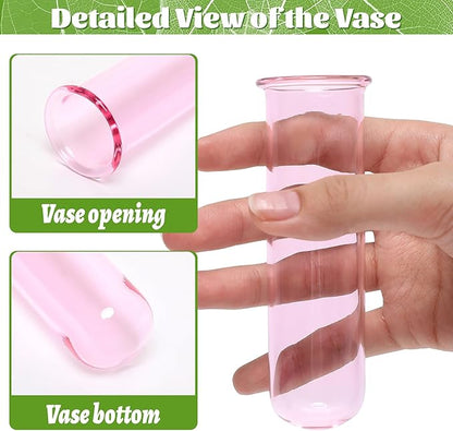 Glass Plant Propagation Station with 5 Test Tubes Colorful Planter Vase Birthday Gifts for Women in Wooden Stand