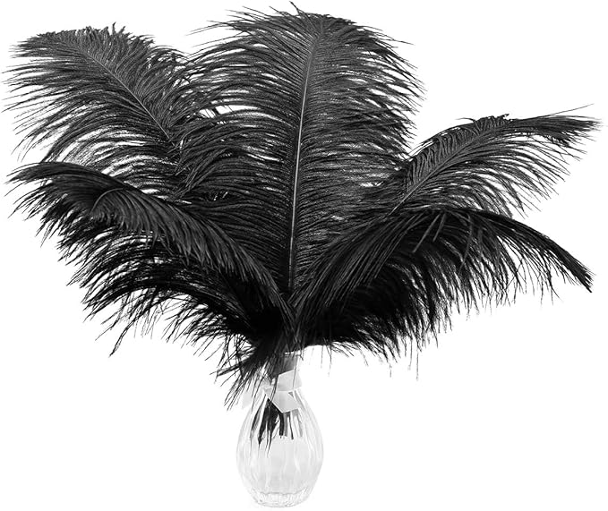 Ballinger Black Ostrich Feathers Bulk - 24Pcs 8-10inch Feathers for Crafts,Gatsby and Halloween Party Centerpieces