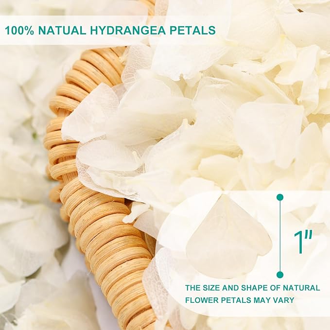 Dried Real Hydrangea Petals, Natural Preserved Dry Flower Petal for Wedding Party Dinner Table Decor, Romantic Night for Her, Engagement, Bridal Shower, Valentines Day, Confetti (1.1oz, Ivory White)