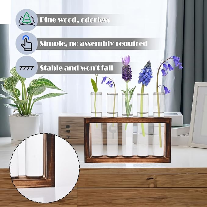 Desktop Glass Plant Propagation Station with 5 Test Tubes in Wooden Stand - Hydroponic Plants Cutting Office Home Decoration and Garden Decor Terrarium (5 Tubes)