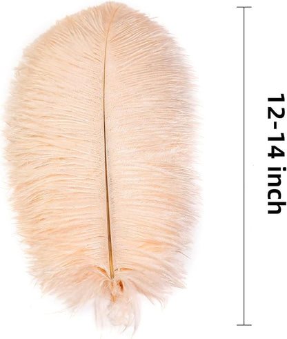 Ballinger Light Salmon Ostrich Feathers - 24pcs 12-14inch Big Feathers for Crafts，Wedding Party Centerpieces and Home Decor