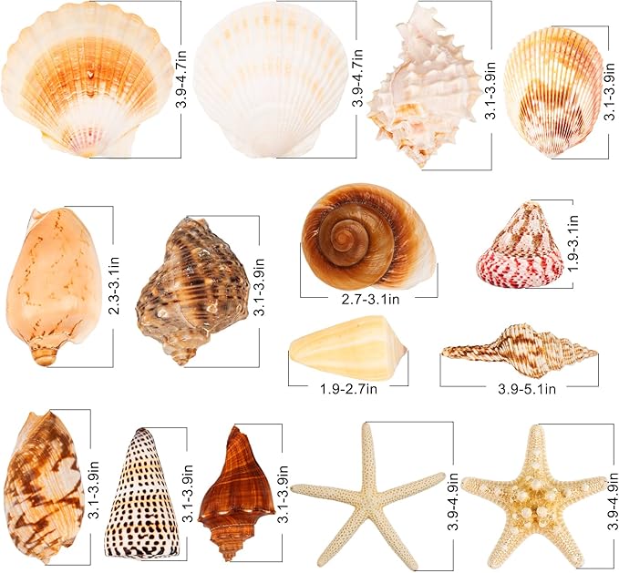 JQAQJU Sea Shells for Decorating 15PCS Large Seashells Starfish Conch for Beach Party,Vase Fillers, Table Scatters, Home Decor, DIY Crafts, Bathroom, Fish Tank Decorations