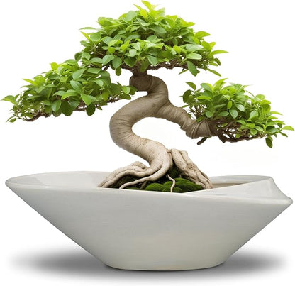 Bonsai Planter Pot - 12 Inch Ceramic Plant Pot for Indoor Plants Outdoor Decorative Flower Pot Succulent Planter with Drainage Hole Gray