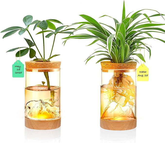 2Pcs Plant Propagation Station with Mountain-Shaped Bottom - Hydroponic Glass Vases, Wooden Base with Lighting, Terrarium Jars for Indoor Growing, Desktop Vivarium, Ideal Gifts for Plant Lovers
