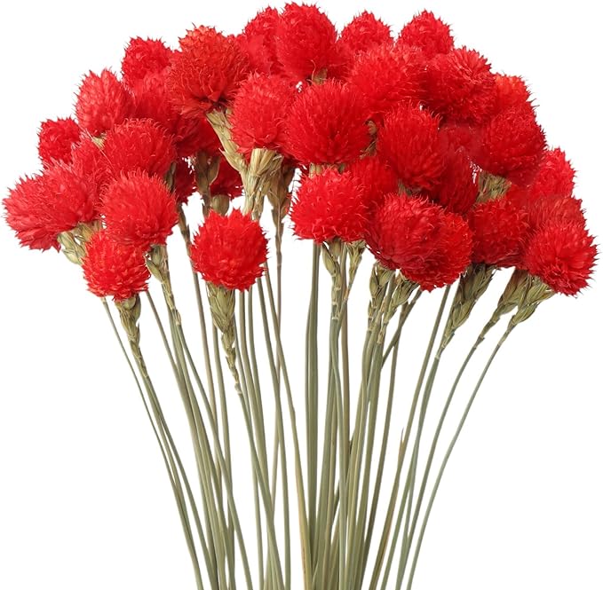 Dried Globe Amaranth Flower with Wheat Straw 40PCS Bouquet for Vase Home Decor Party DIY Arrangement(Bright Red)