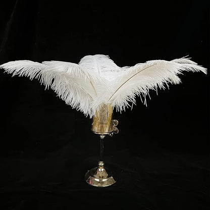 Happy Feather 16-18 inch White Ostrich Feathers Craft for Wedding Party Centerpieces Home Decoration DIY Craft Pack of 10