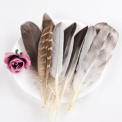MAOFENG 20pcs Natural Pheasant Feathers 5 Styles 5-9 inches 13-23cm for DIY Craft Wedding Home Party Hat Floral Arrangements Halloween Decorations