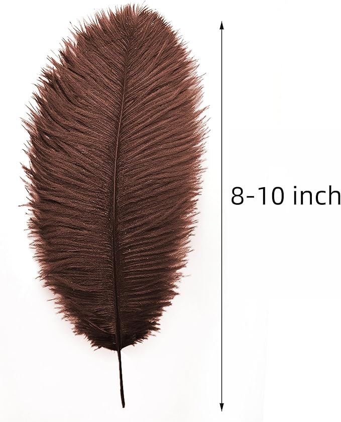 Ballinger Brown Big Ostrich Feathers - 24pcs 8-10inch Craft Feathers for Party Centerpieces, Flower Arrangement and Home Decor