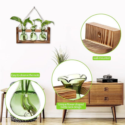 Plant Propagation Station Plant Terrarium Unique Birthday Gifts for Women Home Office Decor Planter with Wooden Stand - 3 Bulb Glass Vase