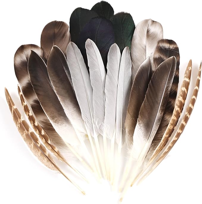 MAOFENG 20pcs Natural Pheasant Feathers 5 Styles 5-9 inches 13-23cm for DIY Craft Wedding Home Party Hat Floral Arrangements Halloween Decorations