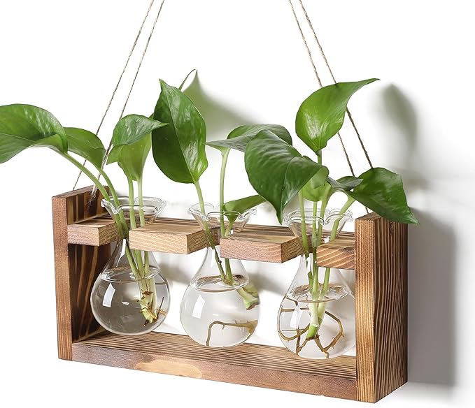 Plant Propagation Station Plant Terrarium Unique Birthday Gifts for Women Home Office Decor Planter with Wooden Stand - 3 Bulb Glass Vase