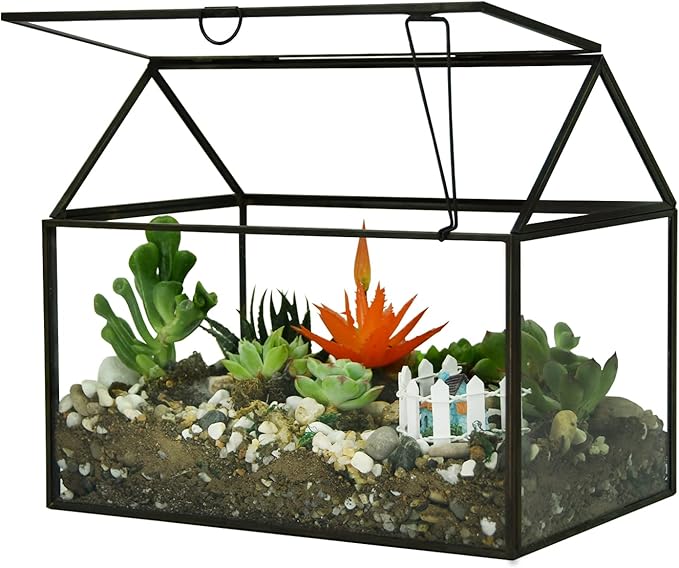 Black 1 Large Glass Plant Terrarium Kit with Lip Greenhouse for Succulents