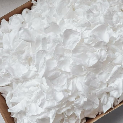 300 PCS Real White Rose Petals for Wedding, 2.82oz Fresh Rose Petals for Flower Girl to Throw, Flower Petal for Romantic Night Table Shower Party Decor