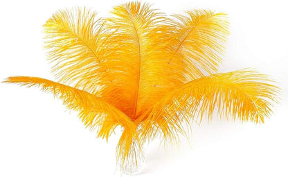 Ballinger Big Gold Ostrich Feathers - 24Pcs 8-10inch Feathers for Crafts,Party Centerpieces Mardi Gras and Home Decor