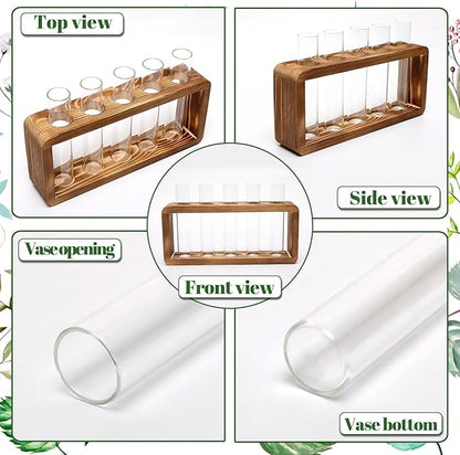 Glass Plant Propagation Station with 5 Test Tubes Colorful Planter Vase Birthday Gifts for Women Mom Plant Lovers with Wooden Stand