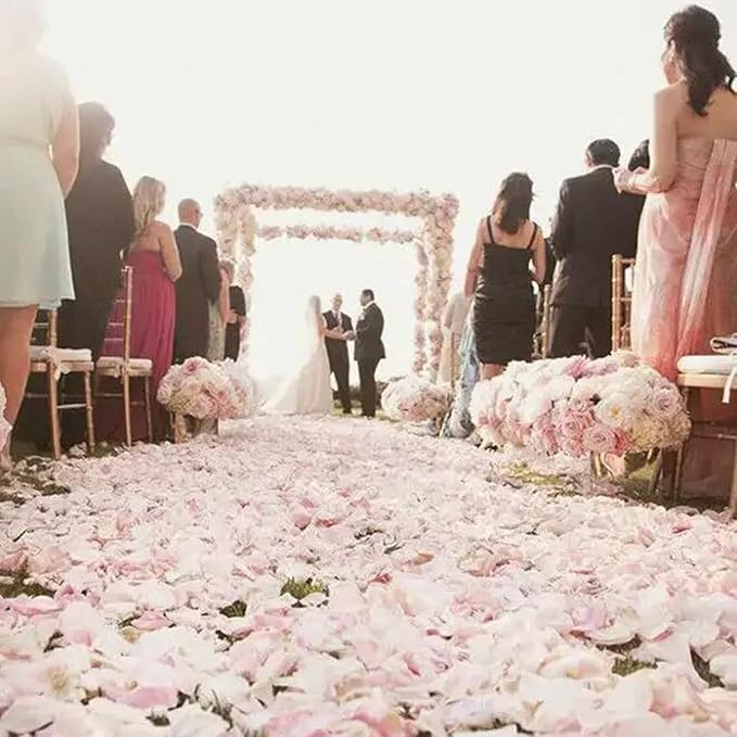 CODE FLORIST 1100 PCS White Silk Rose Petals for Valentine's Day,Romantic Night,Wedding,Proposal Anniversary Flower Decorations(Separated,Scented)