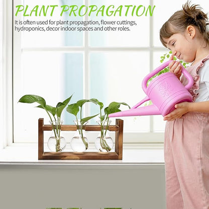 Plant Propagation Station Plant Terrarium Unique Birthday Gifts for Women Home Office Decor Planter with Wooden Stand - 3 Bulb Glass Vase