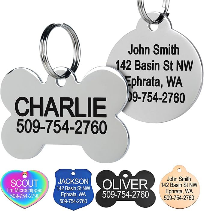 GoTags Stainless Steel Pet ID Tags, Personalized Dog Tags and Cat Tags, up to 8 Lines of Custom Text, Engraved on Both Sides, in Bone, Round, Heart, Bowtie and More (Dog Bone, Small (Pack of 1))
