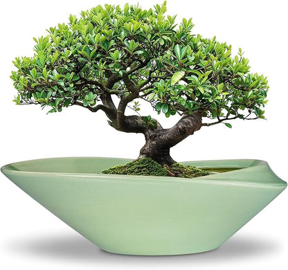 Ceramic Bonsai Pot - 18 Inch Planter with Drainage Hole Large Modern Bonsai Planter Decorative Succulent Flower Plant Pot for Indoor Plants Outdoor Green