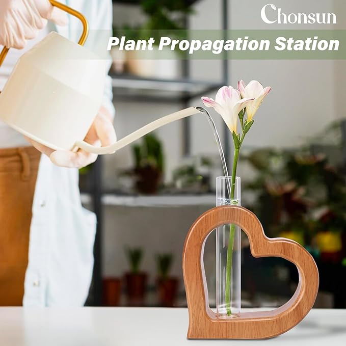 Plant Propagation Stations 2 PCS Wall Hanging Planters for Indoor Plants Glass Tubes Home Decorations Gifts Terrarium Plants Live