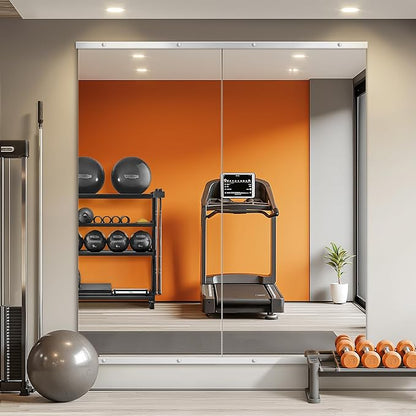 Home Gym Mirror for Wall, Mirror Full Length,56x28x2PCS,Glass Frameless Body Large Mirror for Home Gym, Workout,Bedroom, Garage(Silver)
