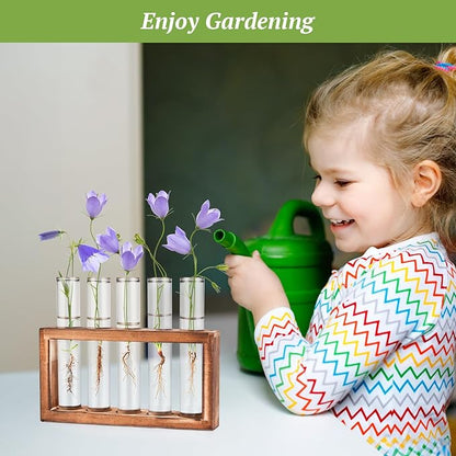 2pcs Desktop Glass Plant Propagation Station with 10 Test Tubes in Wooden Stand - Hydroponic Plants Cutting Office Home Decoration and Garden Decor Terrarium (10 Tubes)