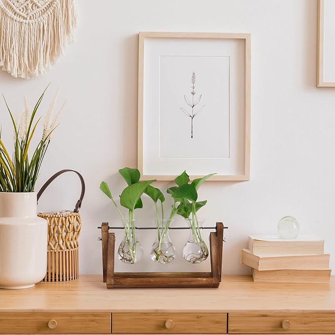 YIBOT Propagation Stations,Plant Terrarium with Retro Wooden Stand, Unique Gardening Birthday Gifts for Women Plant Lovers, Hydroponics Plants Home Office Garden Decor - 3 Bulb Glass Vases