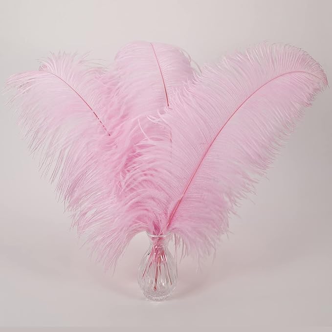 Larryhot Pink Long Ostrich Feathers - 16-18 inch 10pcs Feathers for Cfafts, Wedding Party Centerpieces and Home Decorations (Light Pink)