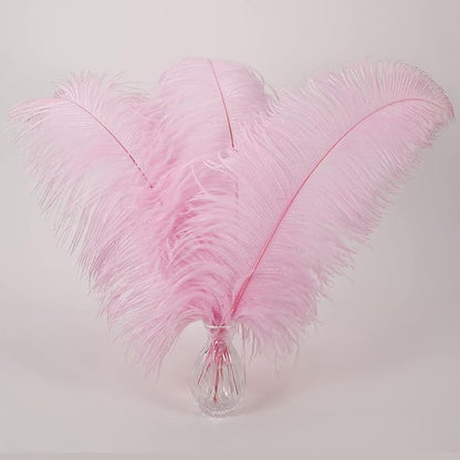 Larryhot Pink Long Ostrich Feathers - 16-18 inch 10pcs Feathers for Cfafts, Wedding Party Centerpieces and Home Decorations (Light Pink)