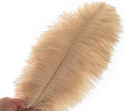 Ballinger Large Champagne Ostrich Feathers - 24pcs 12-14inch Boho Feathers for Vase and Home Decor Wedding Party Centerpieces