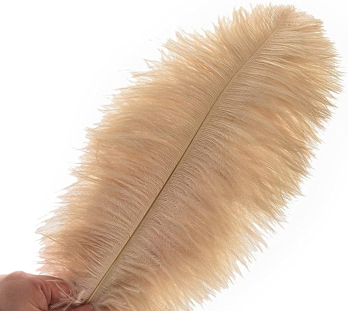 Ballinger Large Champagne Ostrich Feathers - 24pcs 8-10inch Boho Feathers for vase and Home Decor Wedding Party Centerpieces