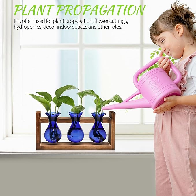 Plant Propagation Station Plant Terrarium Unique Birthday Gifts for Women Home Office Decor Planter with Wooden Stand - 3 Bulb Glass Vase