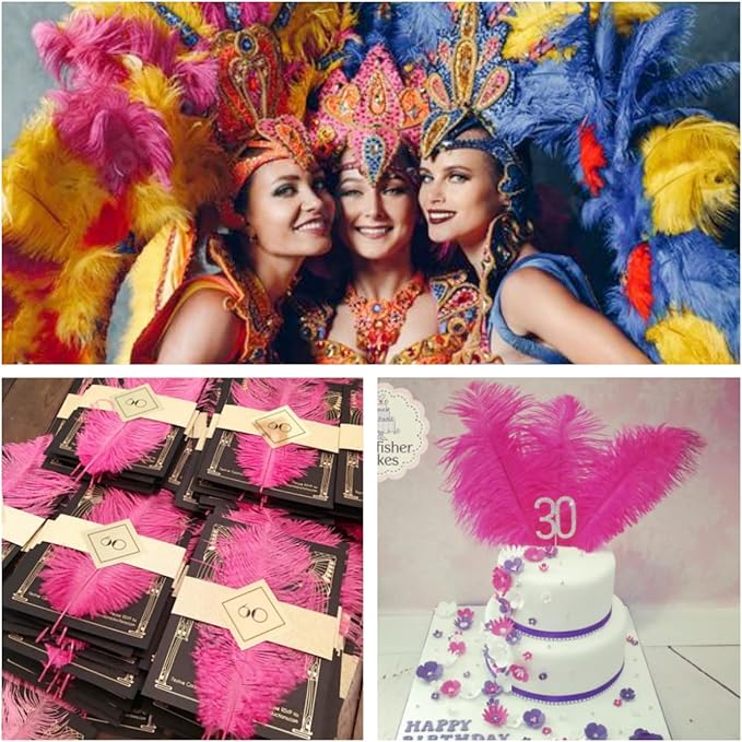 Ballinger Fuchsia Large Ostrich Feathers - 24pcs 10-12inch Craft Feathers Bulk for r Party Centerpieces, Flower Arrangement and Home Decor
