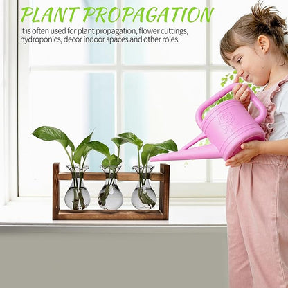 Plant Propagation Station Plant Terrarium Unique Birthday Gifts for Women Home Office Decor Planter with Wooden Stand - 3 Bulb Glass Vase