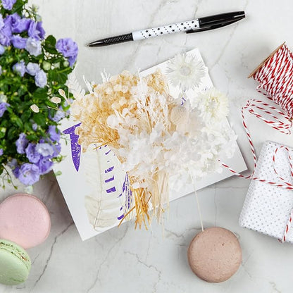 Dried Flowers,Dried Flowers Set for DIY Scrapbook Accessories Flower Arrangements Flower Decoration Wedding Decoration(White)