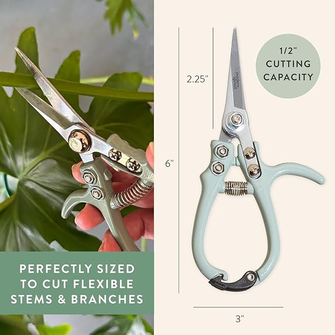 Modern Sprout Pruning Shears - Herb Snipping Scissors- Lightweight Gardening Tools W/Easy Lock - Flower Cutter Garden Shears - Carbon Steel Blade + Plastic-Free Reusable Holster (Multicolor, 12 Pcs)