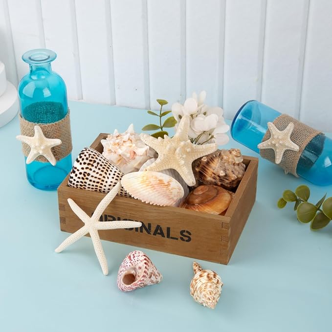 JQAQJU Sea Shells for Decorating 15PCS Large Seashells Starfish Conch for Beach Party,Vase Fillers, Table Scatters, Home Decor, DIY Crafts, Bathroom, Fish Tank Decorations