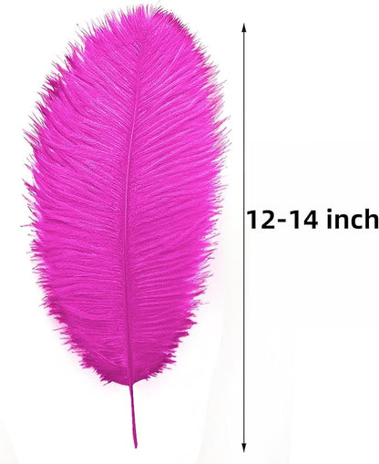 Ballinger Fuchsia Large Ostrich Feathers - 24pcs 12-14inch Hot Pink Feathers for Party Centerpieces, Flower Arrangement and Home Decor