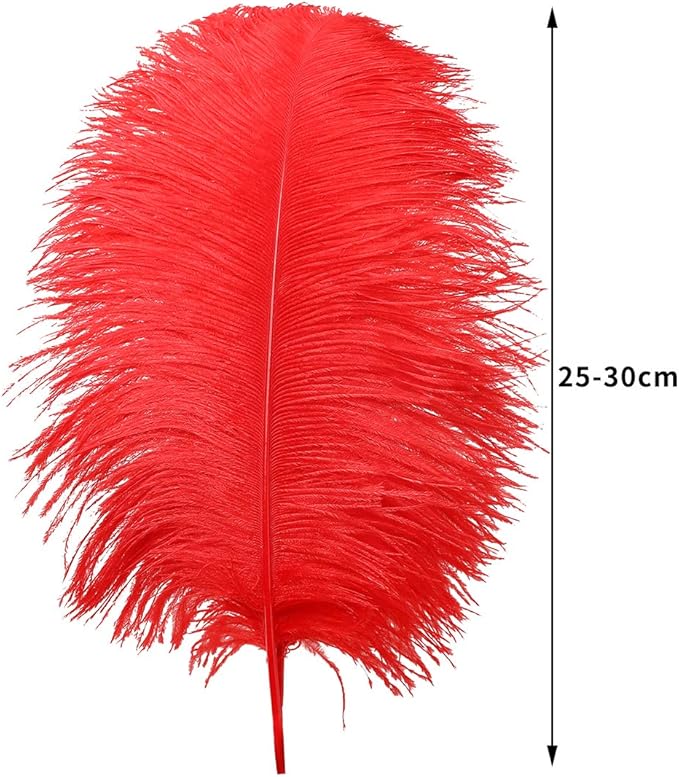 24pcs Natural Bright Red Ostrich Feathers 10-12inch (25-30cm) for Wedding Party Centerpieces，Flower Arrangement and Home Decoration.