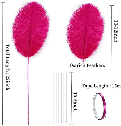 Holmgren Hot Pink Ostrich Feathers - 20pcs Making Kit 22 Inch Ostrich Feathers Bulk for Vase, Floral Arrangement, Home Wedding Party Centerpieces and Easter Gatsbi Decorations