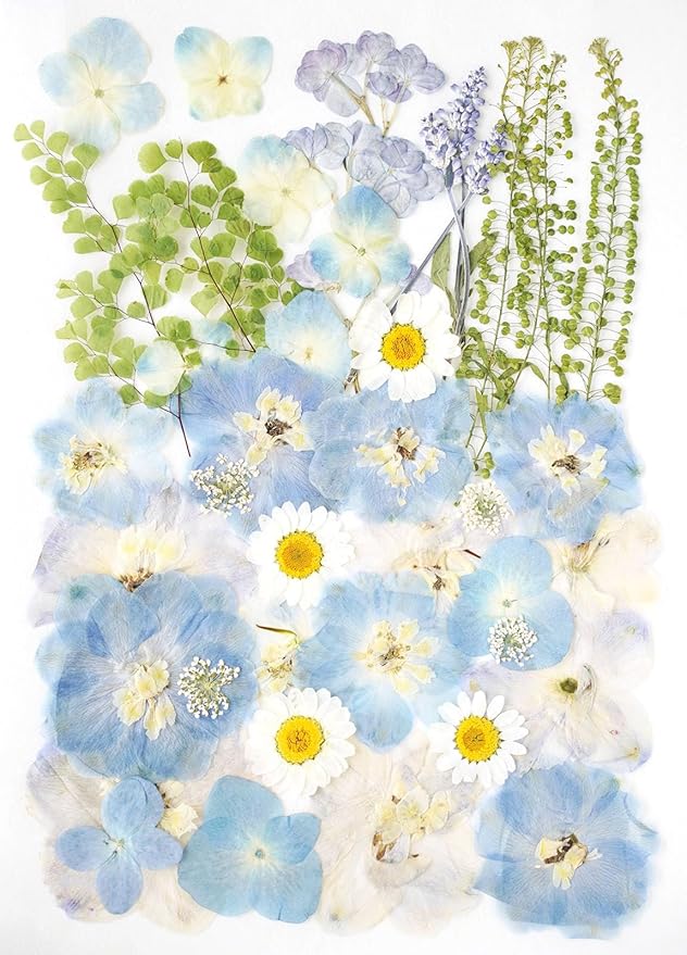 Real Dried Pressed Flowers Leaf Plant Herbarium for Crafts Resin Jewelry Making, Floral Cake Decorations-Fog Blue