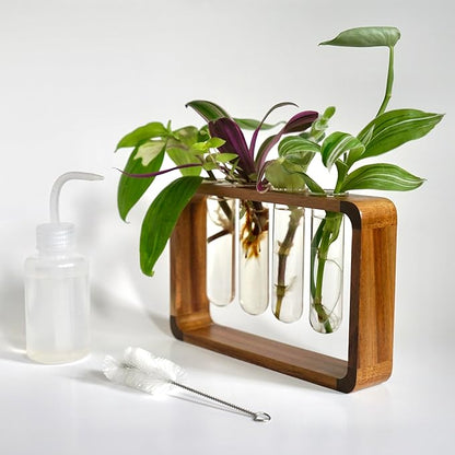 Source & Plot - Plant Propagation Station - Acacia Wood Stand 4 Glass Test Tube Hydroponic Tabletop Rooting Terrarium Planter Rack Home and Office Decor - Last Batch