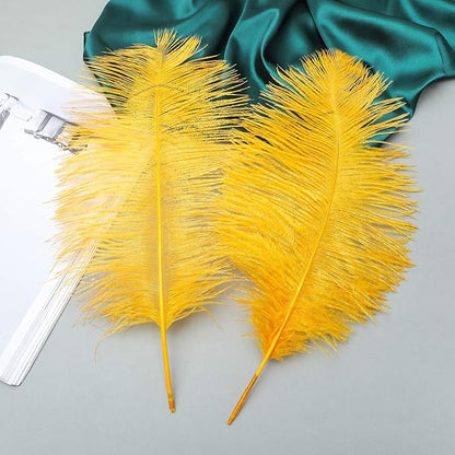 Ballinger Big Gold Ostrich Feathers - 24Pcs 8-10inch Feathers for Crafts,Party Centerpieces Mardi Gras and Home Decor