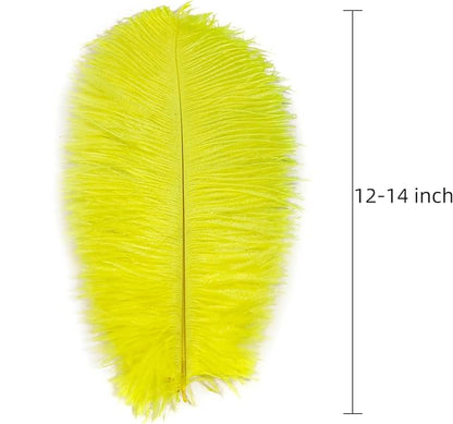 Ballinger Fluorescent Yellow Ostrich Feathers - 24Pcs 12-14inch Long Feathers Bulk for Vase, Party Centerpieces, Mardi Gras Decorations and Home Decor