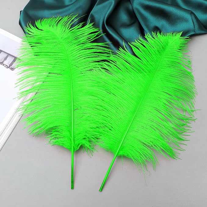 Ballinger Lime Green Ostrich Feathers - 24Pcs 12-14inch Large Green Feathers for Vase,Wedding Party Centerpieces and Holiday Home Decor