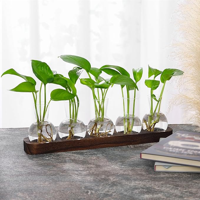 YIBOT Plant Propagation Stations,Glass Propagation Vases for Plants Terrarium with Wooden Tray Plant Lover Gifts for Propagating Hydroponic Plants Home Office Decor(5 Vase)