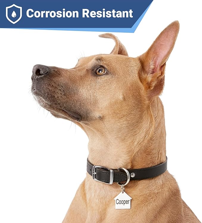 GoTags Stainless Steel Pet ID Tags, Personalized Dog Tags and Cat Tags, up to 8 Lines of Custom Text, Engraved on Both Sides, in Bone, Round, Heart, Bow Tie and More