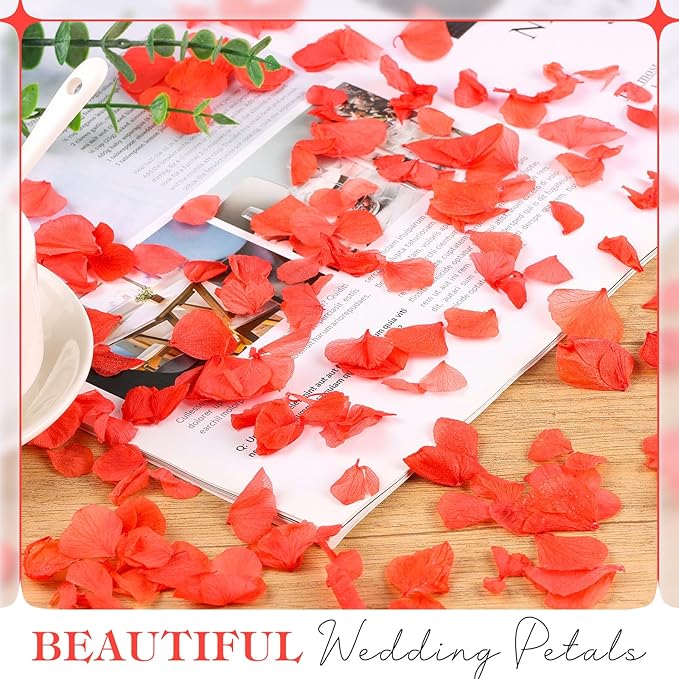 2500 PCS Red Hydrangea Petals 100% Natural Real Flower Petals for Wedding Aisle, Flower Girl Scattering Flowers, Will You Marry Me, Valentines, Romantic Night, Proposal, Anniversary, Special Night